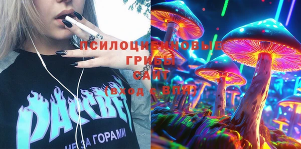 бошки Абаза